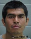 Manolo Panzo  Arrest Mugshot - Desoto, Florida