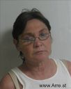 Sheryle Hampton Arrest Mugshot - McMinn, Tennessee