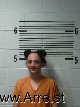 Amanda  Adams Mugshot