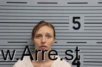 Amanda Nicole Adkins Mugshot