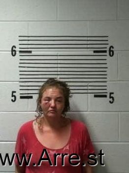 Amanda  Bailey Mugshot