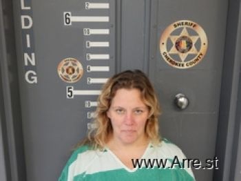 Amanda Anne Early Mugshot