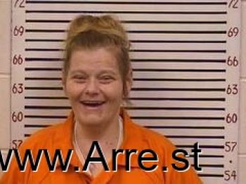 Amanda  Hudson Mugshot