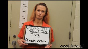 Amanda Nickole Cook Mugshot