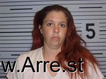 Amy Elaine Harris Mugshot