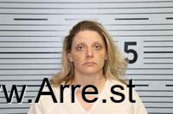 Ashley Nicole Hudson Mugshot