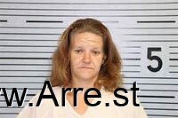 Ashley Nicole Pruitt Mugshot