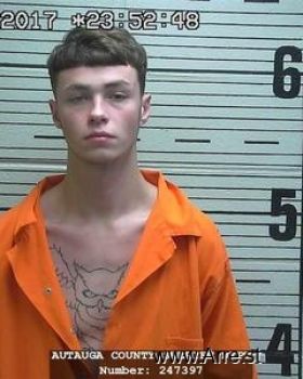 Austin Tyler Williamson Mugshot