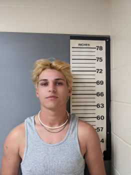 Adam Christopher Lowery Mugshot