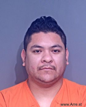 Adrian  Moreno-segovia Mugshot