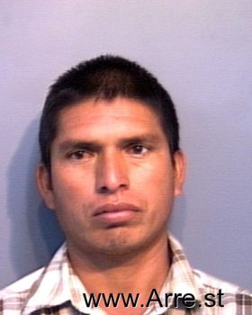 Alejandro  Hernandez-meza Mugshot