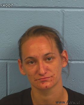 Alison Renee Amm Mugshot