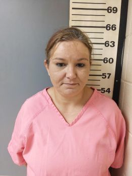 Allison Kaye Walker Mugshot