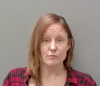 Amanda Lucille Brewer Mugshot