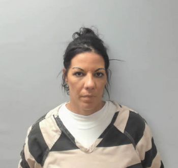 Amanda Fallon Brunfeldt Mugshot