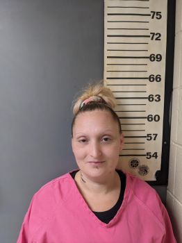 Amanda Leann Hallford Mugshot