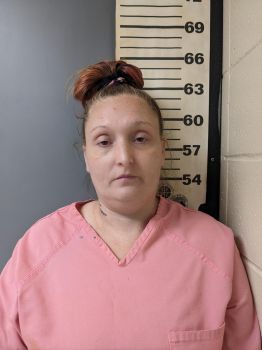 Amanda Leann Hallford Mugshot