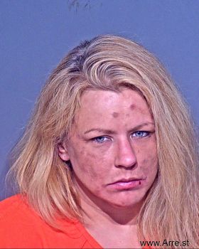 Amanda Lechner Newkirk Mugshot