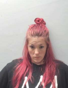 Amanda Renae Williams Mugshot