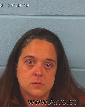 Amanda K Williams Mugshot