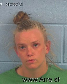 Amber Nicole Phipps Mugshot