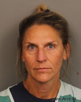 Amy Hecklinski Browne Mugshot