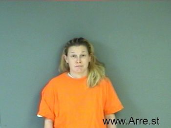 Amy Ann Collins Mugshot