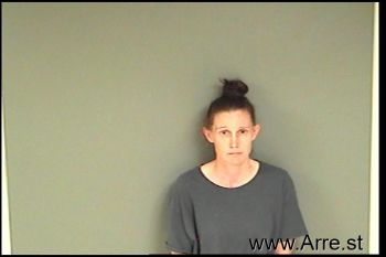 Amy Ann Collins Mugshot