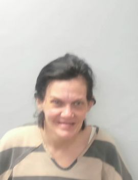 Amy Nichole Horton Mugshot