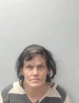 Amy Nichole Horton Mugshot