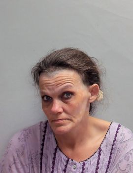 Amy Nichole Horton Mugshot