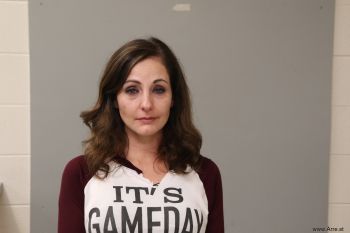 Amy Nicole Hunter Mugshot