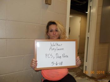 Amy  Walker Mugshot