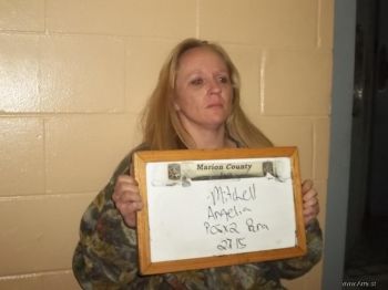 Angela  Mitchell Mugshot