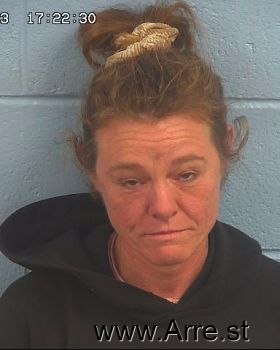 Angie Ann Wooldridge Mugshot