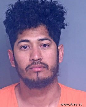 Antonio Alfredo Flores-martinez Mugshot