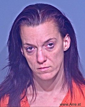 Ashley Jean Frizzell Cook Mugshot