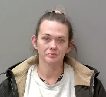 Ashley Rose Loggins Mugshot