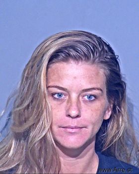 Ashley Renee Borg Pierce Mugshot