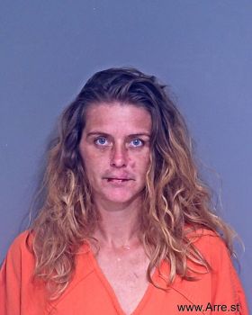 Ashley Renee Borg Pierce Mugshot