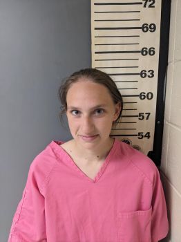 Ashley Dawn Woods Mugshot