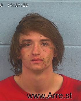 Austin Blaze Brown Mugshot