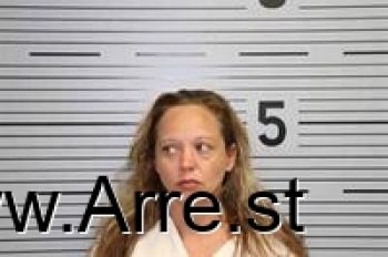 Brandy Lynn Carter Mugshot