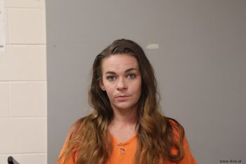 Brandi Michelle Johnson Mugshot