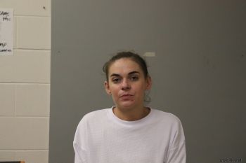 Brandi Michelle Johnson Mugshot