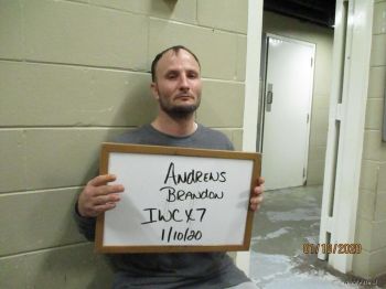 Brandon  Andrews Mugshot