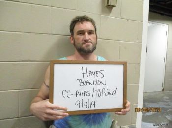 Brandon  Hayes Mugshot