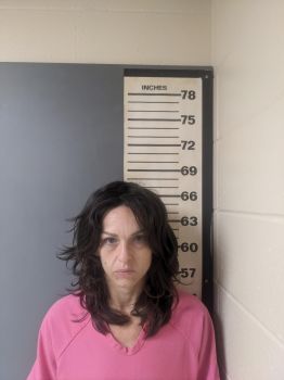 Brandy Nichole Mcclellan Mugshot