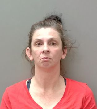 Brandy Ann Moore Mugshot