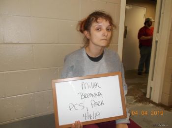 Breanna  Miller Mugshot